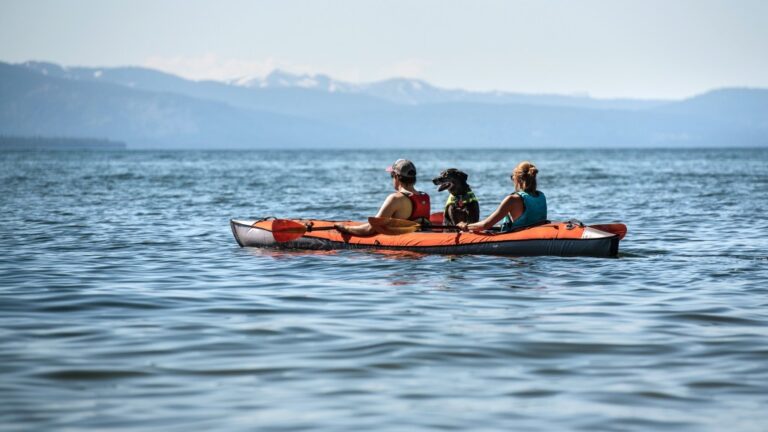 Book Norway Fjord Kayaking Tour – Best Guided Trips, Gear & Buying Guide