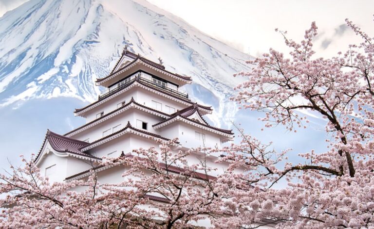 Book Japan Cherry Blossom Trail Tours & Gear Ultimate Sakura Experience