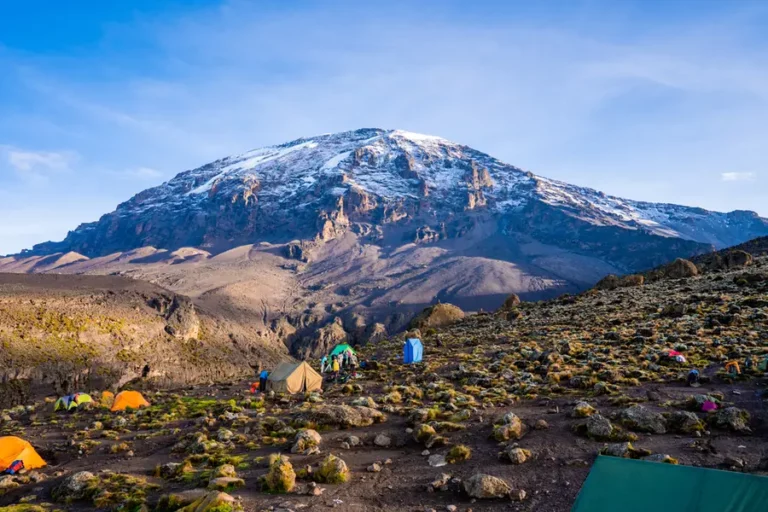 Pengalaman Eksklusif Mendaki Kilimanjaro: Pendakian Mewah untuk Petualang Modern